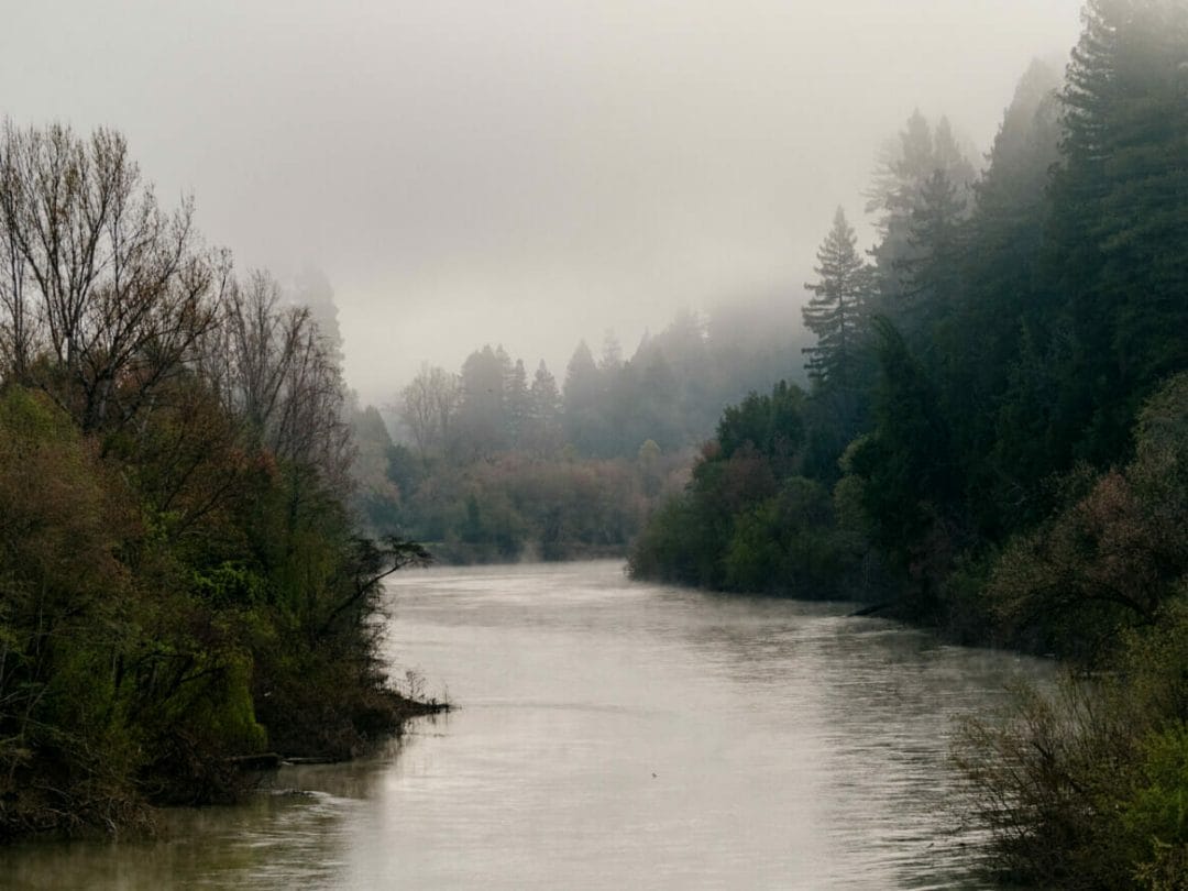River at Dawn Ranch
